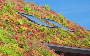 Holehills living roof systems